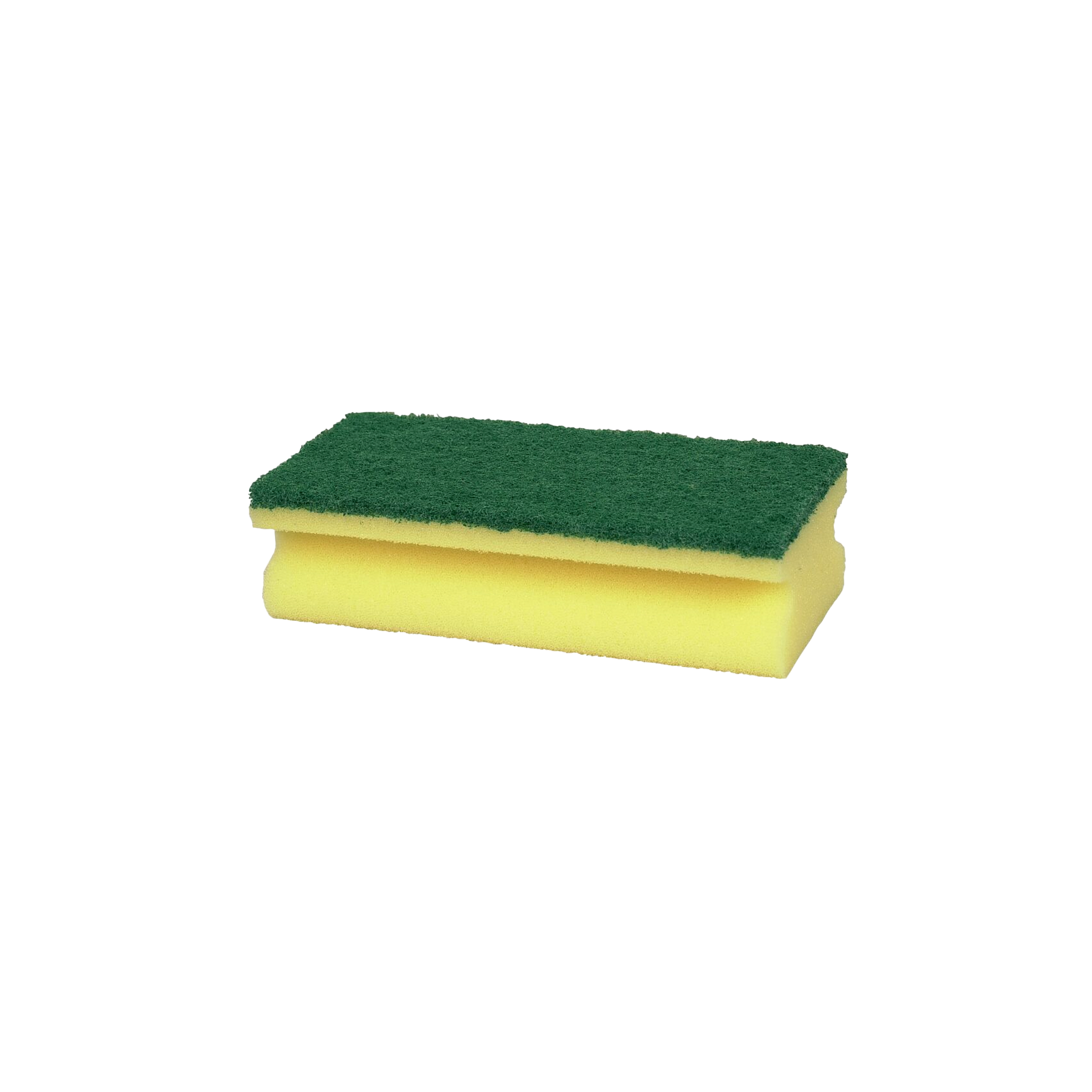 Scouring Pad