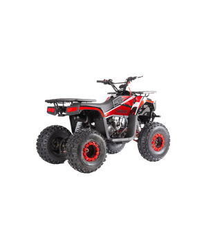 ATV 125cc Auto with reverse gear 8"