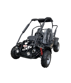 GoKart Buggy 196cc 6.5HP