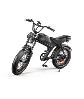 Fat Tire Electric Bike 20"