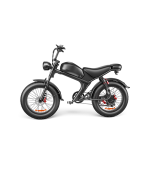 Fat Tire Electric Bike 20"