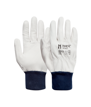 Specialist | Leather Gloves