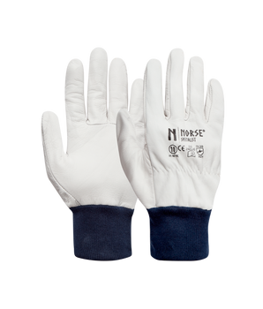 Specialist | Lederhandschuhe
